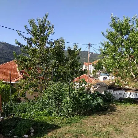 Daire Voula's House *